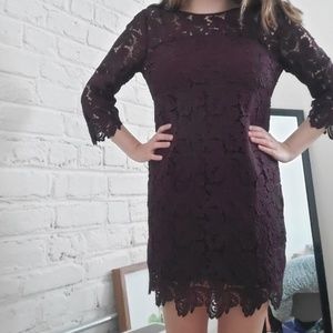 LOFT Lace Dress